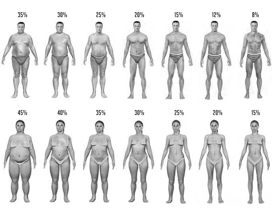 Процент жира в организме: как узнать, фото примеры