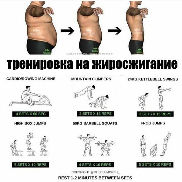 Способы сжигания жира в домашних условиях