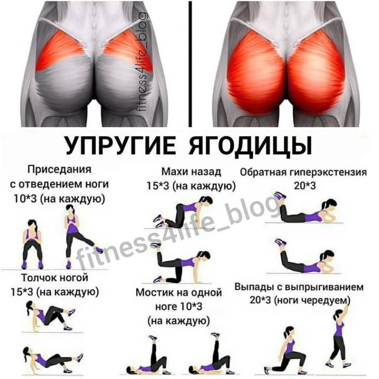 Упражнения для тренировки на ноги и ягодицы, которые необходимо выполнять в тренажерном зале девушкам | rulebody.ru — правила тела