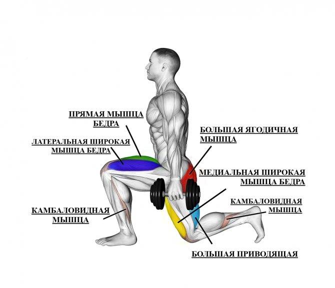 Приседания на одной ноге: техника выполнения, какие мышцы работают