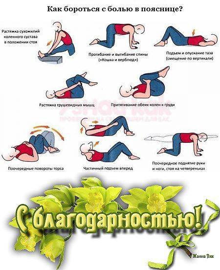Гимнастика для дачника. как избавиться от боли в спине и суставах