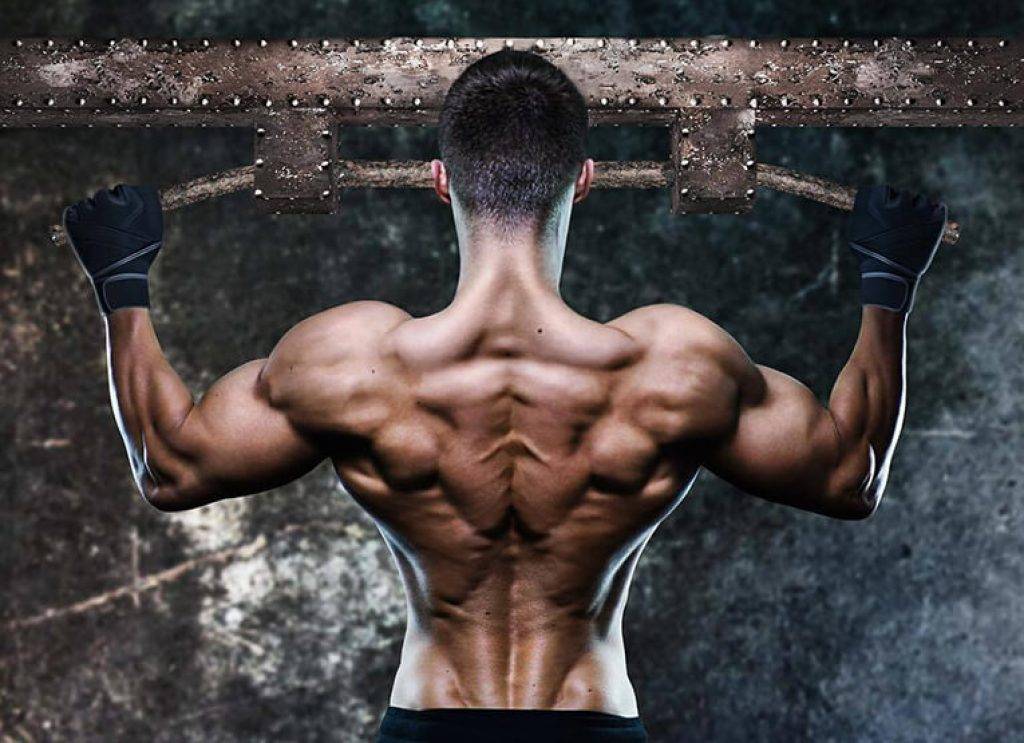Как накачать мышцы спины. лучшие упражнения для тренировок
