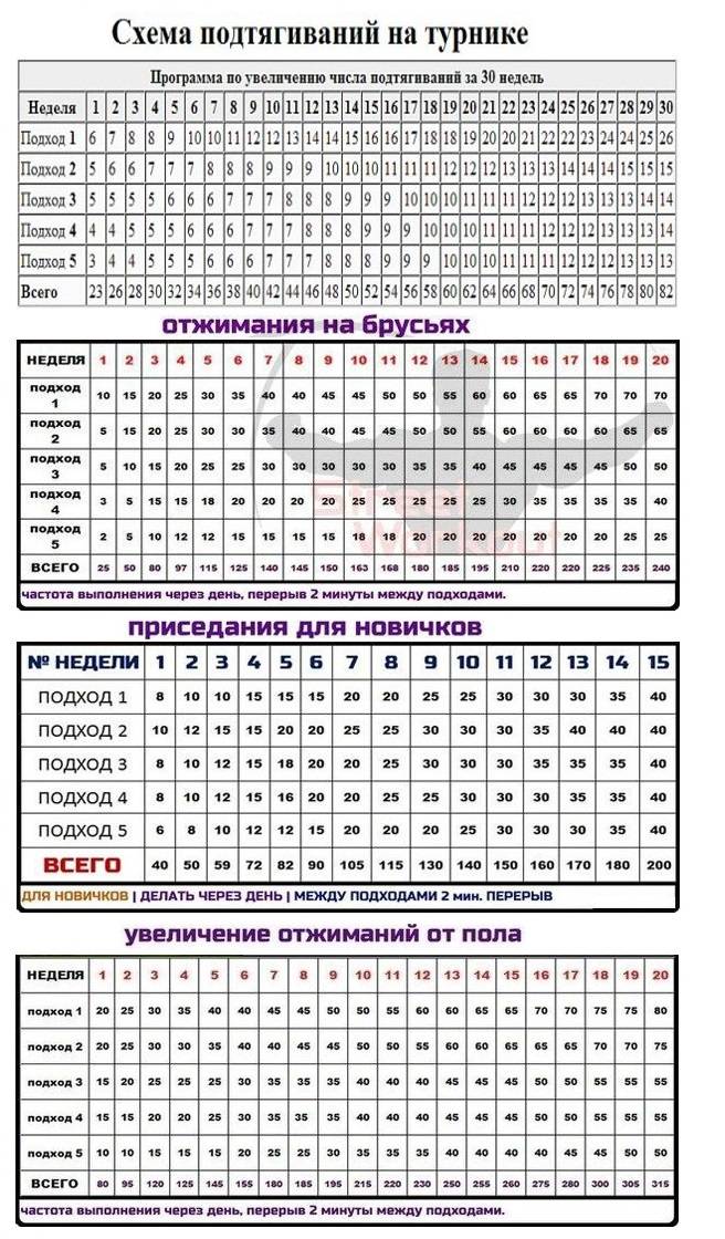 Схема подтягиваний с нуля