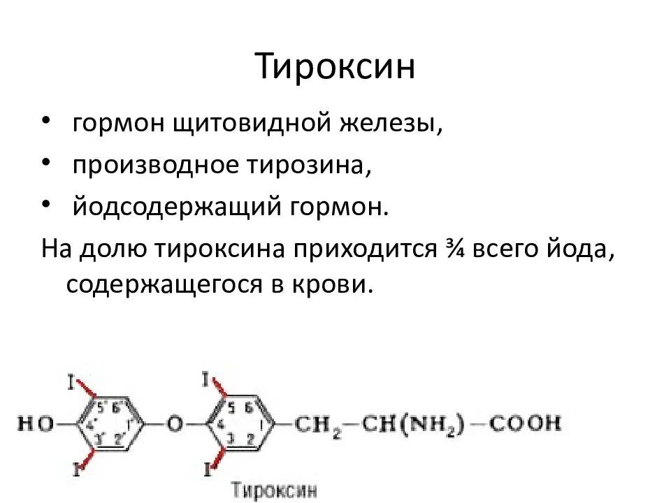 Аминокислота тирозин презентация