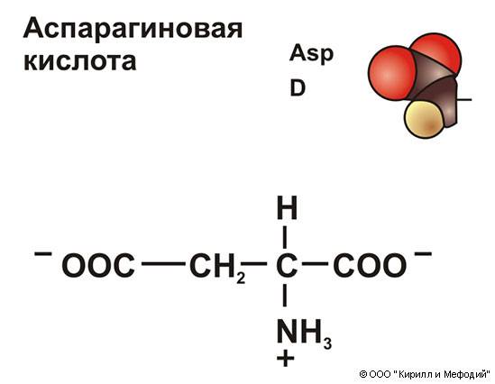 Аспарагиновой кислоты (daa): как принимать в бодибилдинге, в каких продуктах содержится