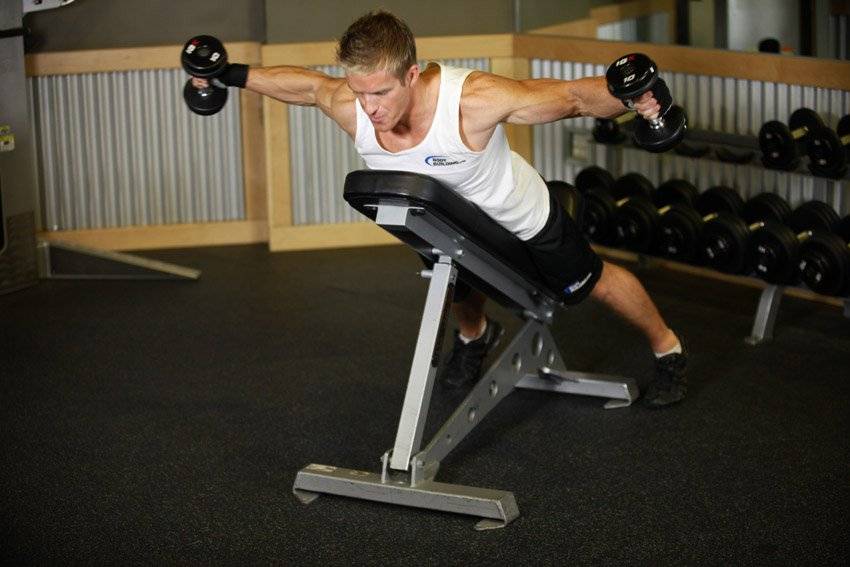 Incline Bench Dumbbell Row