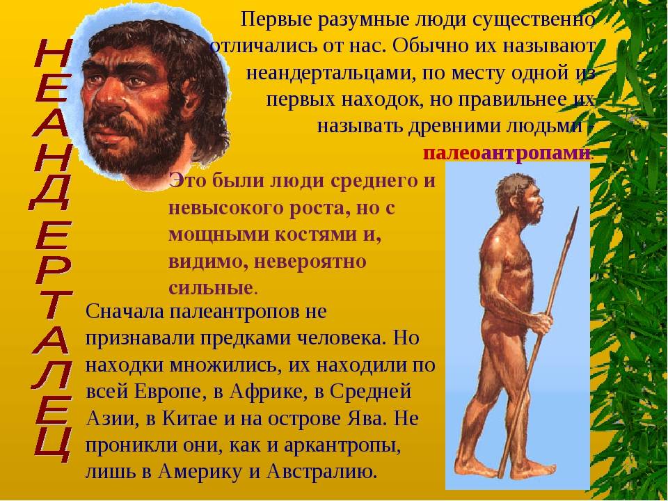 Кто был первым человеком. Хомо сапиенс человек разумный. Появление человека разумного. Первый человек разумный. Первые люди хомо сапиенс.