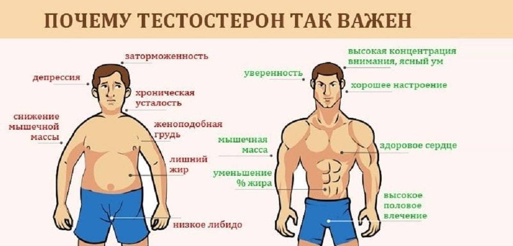 Чем снизить тестостерон у женщин препараты схема лечения