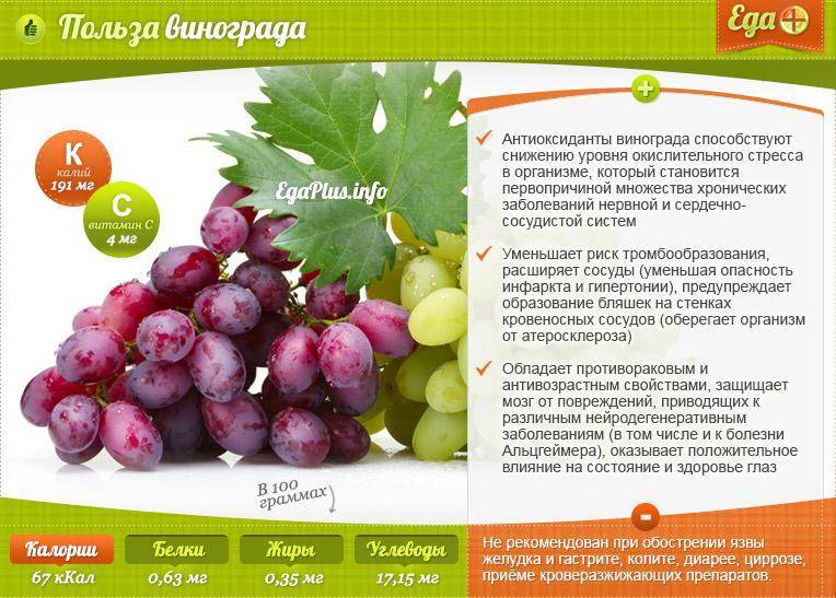 Описание кисло-сладкой ягоды - виноград