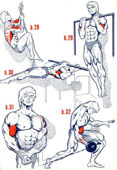 Простая домашняя тренировка для набора мышечной массы