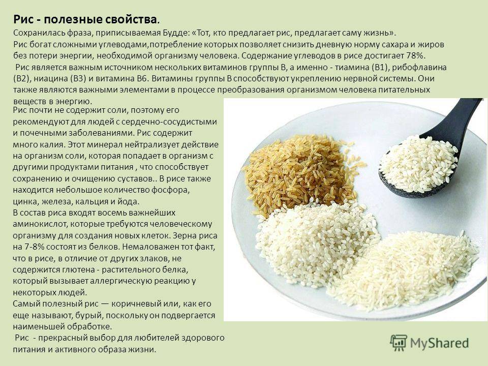 Рис: польза и вред для здоровья человека | пища это лекарство