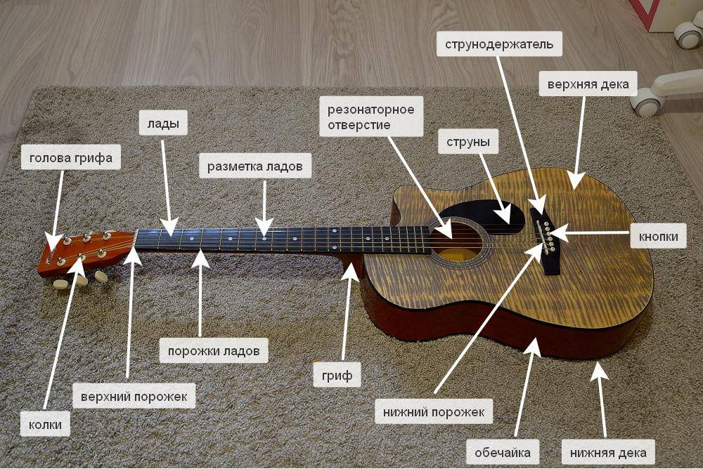 Гриф гитары: конструкция, материалы, крепления - все о гитаре