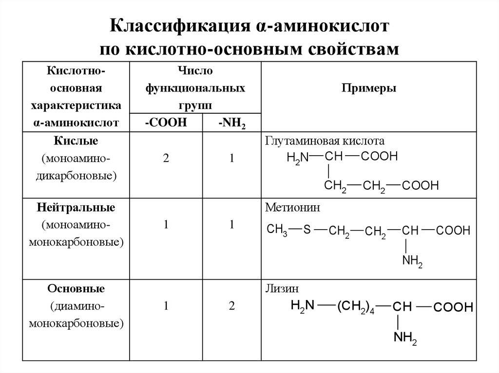 Таблица аминокислот: функции, виды и характеристики