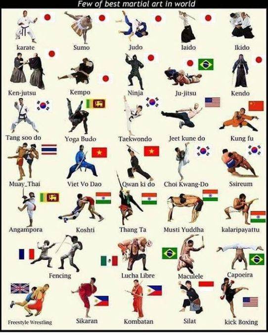 Виды боевых искусств китая - классификация, стили