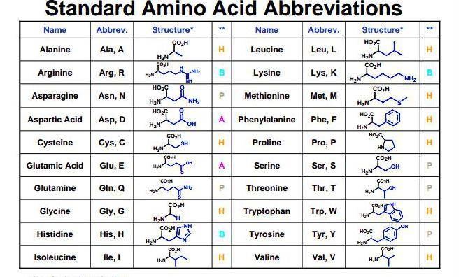 Аминокислоты - формула, строение, свойства, применение, виды