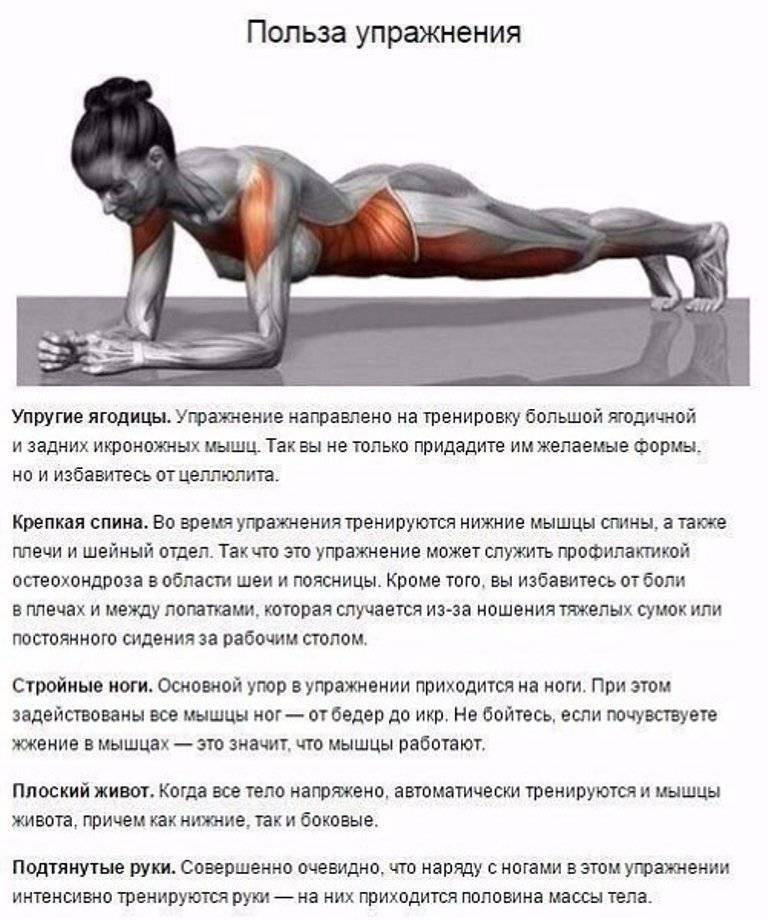 Как правильно заниматься в тренажёрном зале самостоятельно | rulebody.ru — правила тела