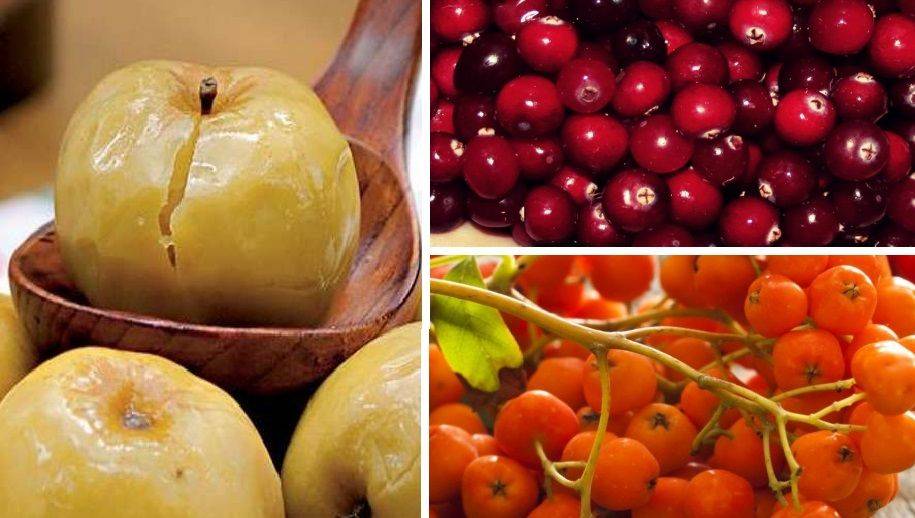 Чем обрабатывают яблоки для длительного хранения: способы и средства обработки фруктов в домашних условиях