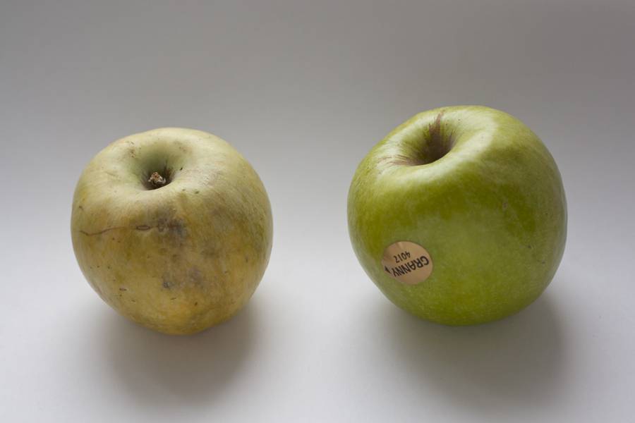Сколько калорий в яблоке зеленом голден