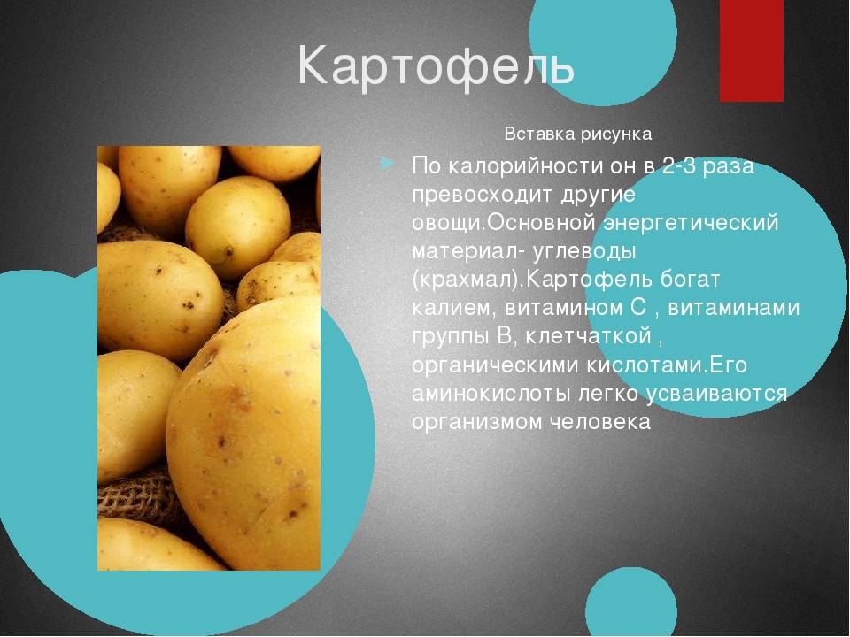Картофель варёный в мундире — калорийность (сколько калорий в 100 граммах)