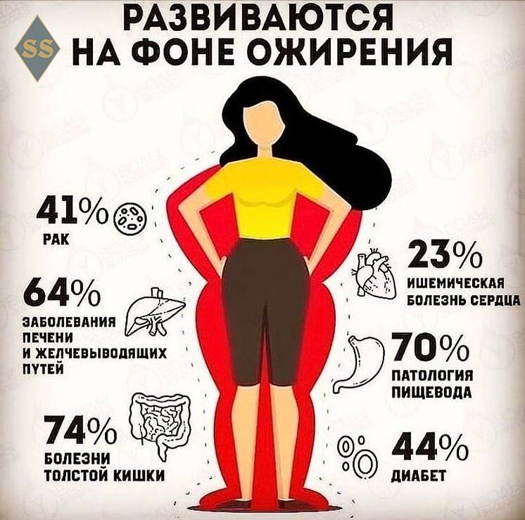 Налог на лишний вес в россии в 2019 году: когда будет введен, какой будет верхняя граница веса для женщин и мужчин