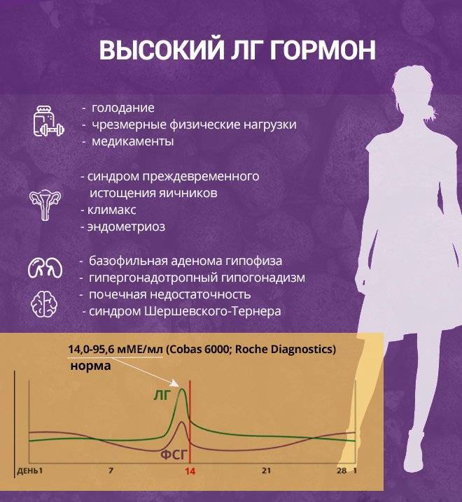 10 способов уменьшить эстрогены в организме | root.elima.ru