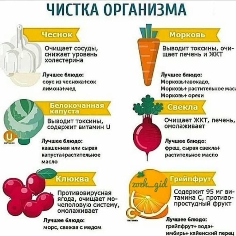 Как очистить организм от шлаков и токсинов. очищение организма активированным углем, препаратами и продуктами - medside.ru