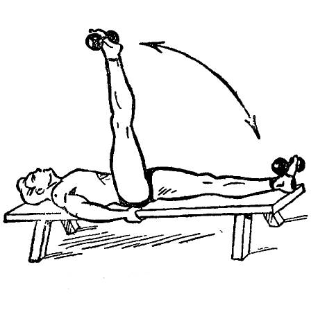 Сгибание рук с гантелями: виды (стоя, сидя, на скамье) и техника выполнения упражнения