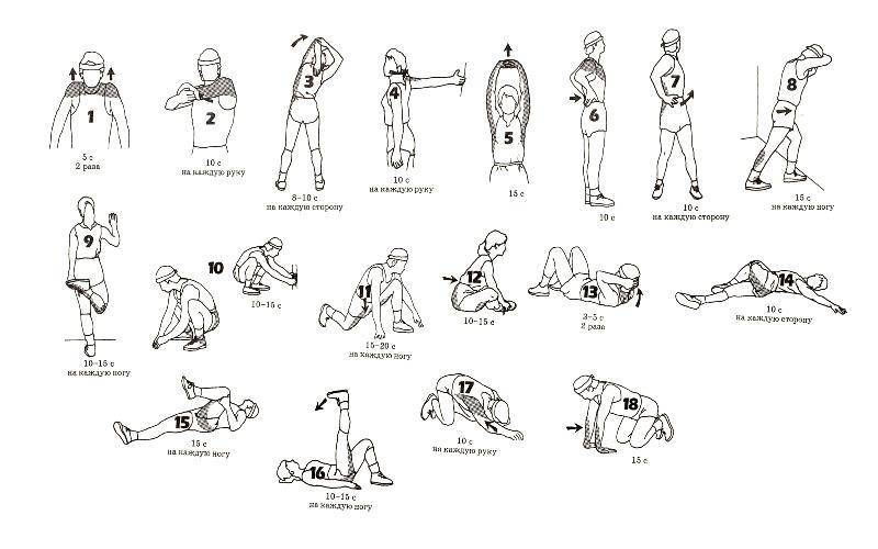 Комплекс упражнений для разминки с картинками