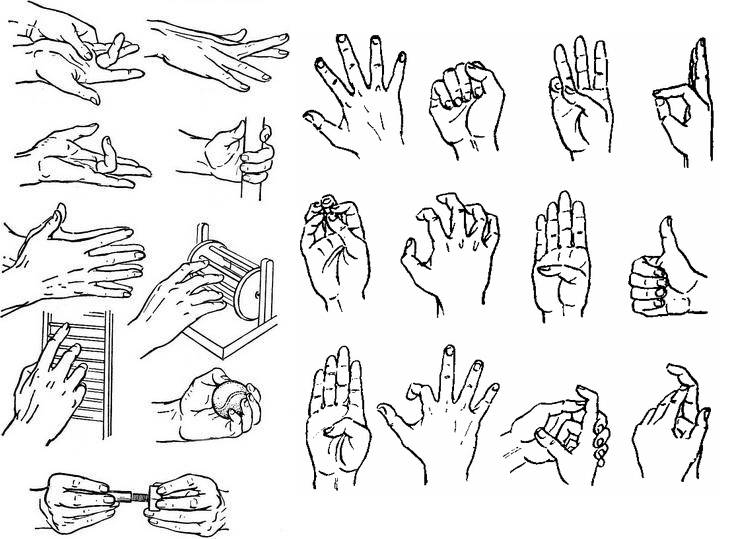 Как накачать руки в домашних условиях: топ 6 упражнений для мужчин