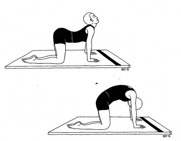 Упражнения для спины с гантелями: польза и правила выполнения