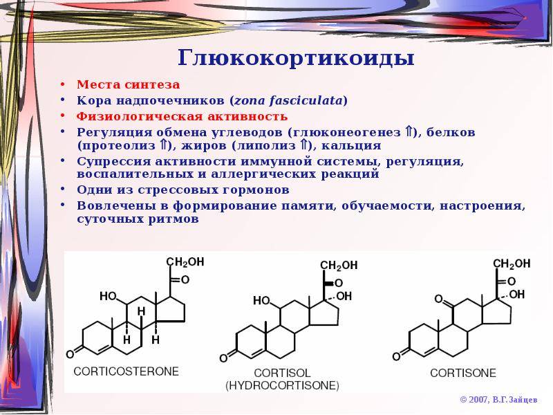 Глюкокортикоиды это. Глюкокортикоиды место синтеза. Глюкокортикоиды увеличивают Синтез ферментов. Синтез глюкокортикоидов в коре надпочечников. Глюкокортикоидов — стероидных гормонов коры надпочечников.