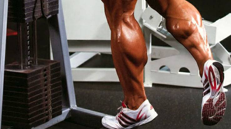 Тренировка ног: как накачать икроножные мышцы (икры ног) девушке и мужчине
