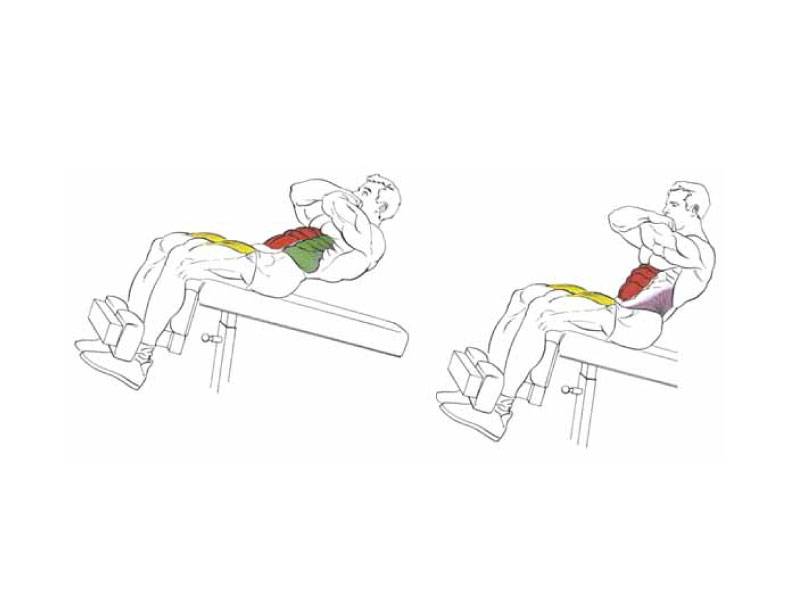 Скручивания на скамье с наклоном вниз (римском стуле) фото и видео