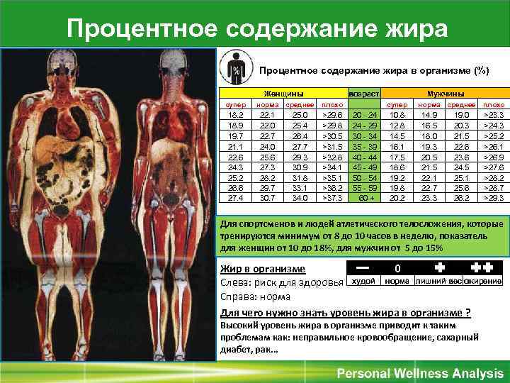 Объем жира и масса тела при оценке фигуры мужчины и женщины