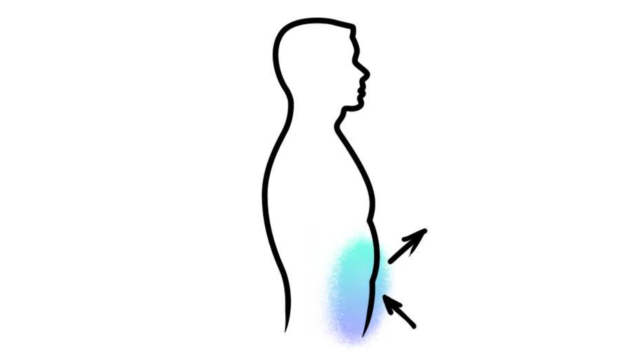 Как дышать животом: как правильно, техника, польза и вред, отличия диафрагмального дыхания от грудного