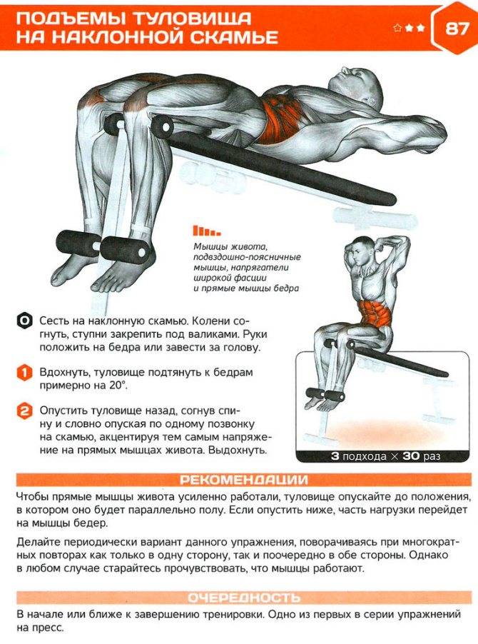Подъем ног в висе — качаем три мышцы пресса одновременно