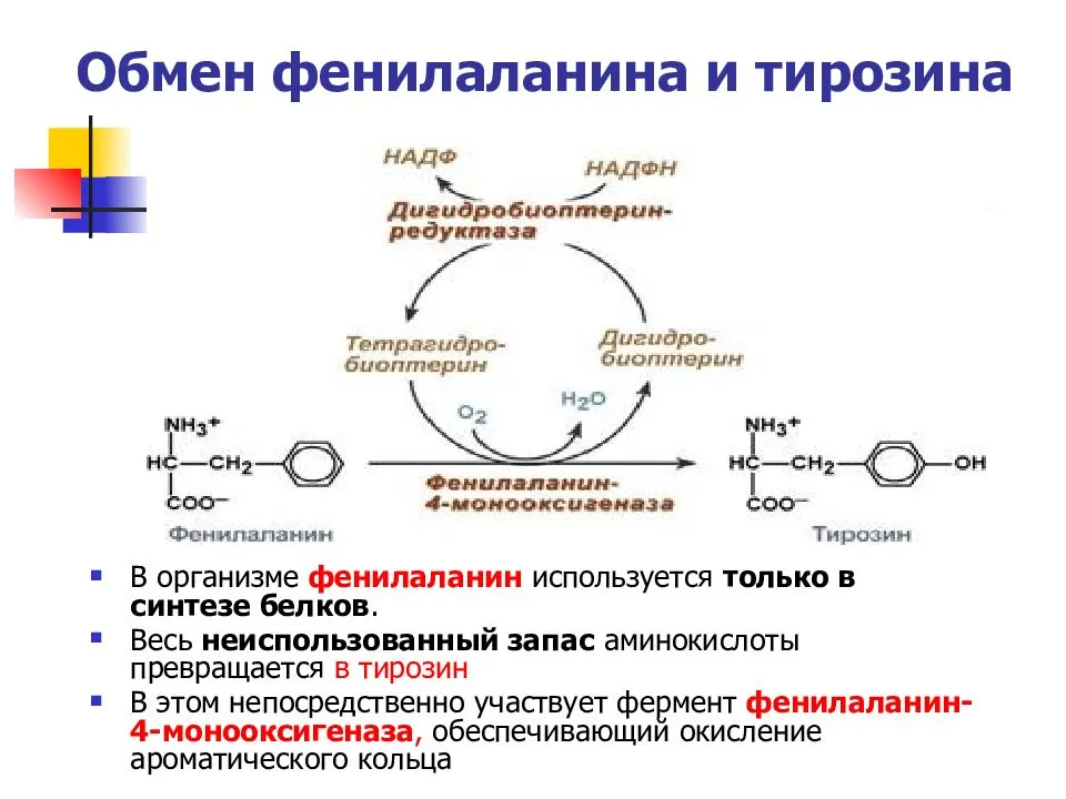 Что такое тирозин в волосе