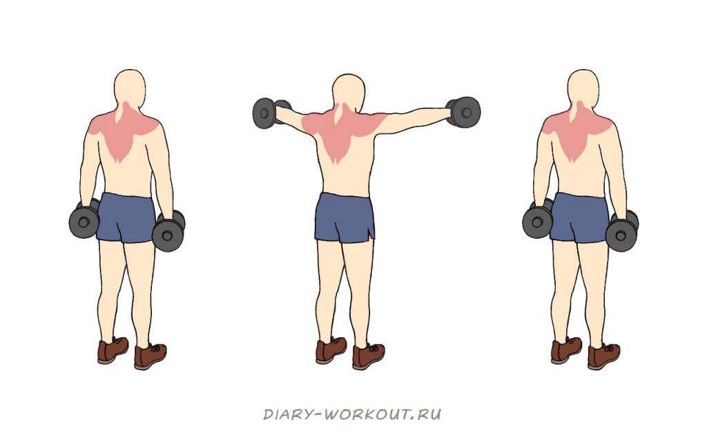 Упражнения на плечи со штангой. как накачать плечи штангой в домашних условиях: жим штанги на плечи