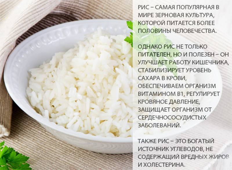 Белый рис: состав, калорийность, бжу, польза и вред для организма