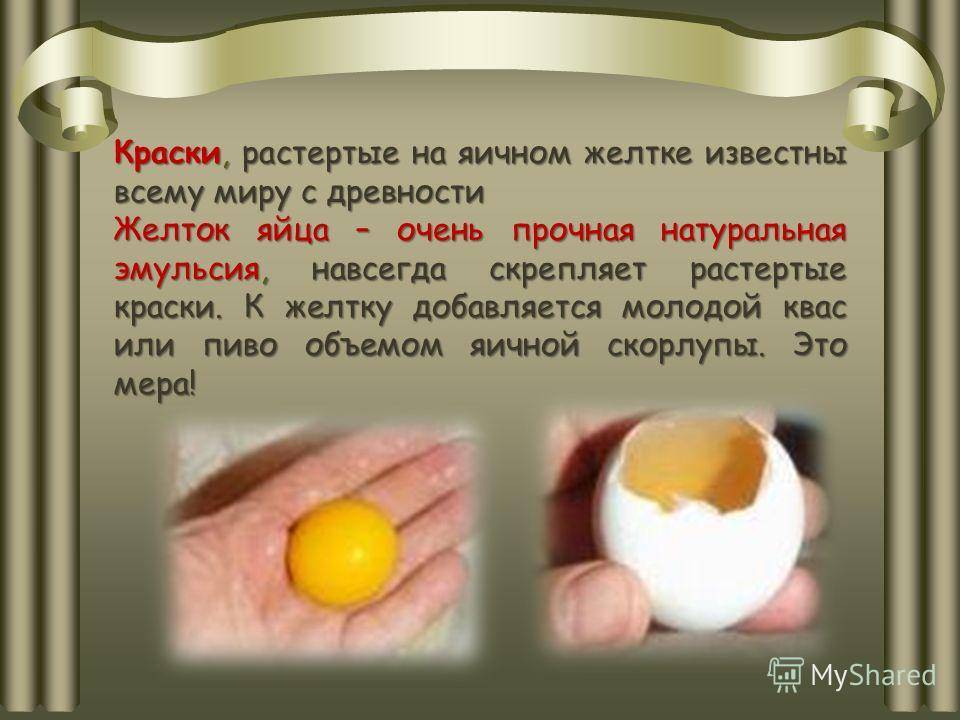 Яичный желток: состав, польза и противопоказания. женский сайт www.inmoment.ru