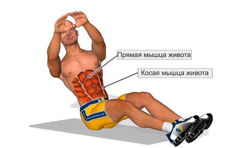 Пилатес для начинающих: чем полезен пилатес для женщин в домашних условиях