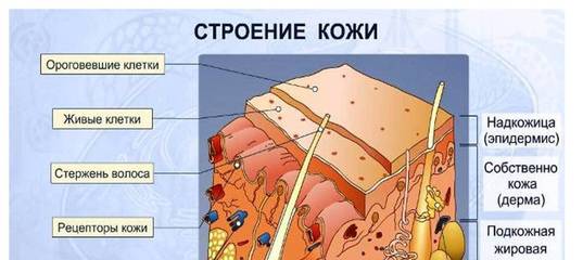 10 причин тусклости кожи и 10 советов по борьбе с этой проблемой