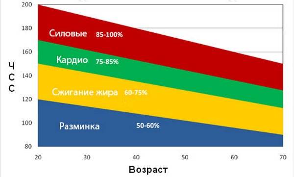 Пульс для сжигания жира — нормы в зависимости от возраста