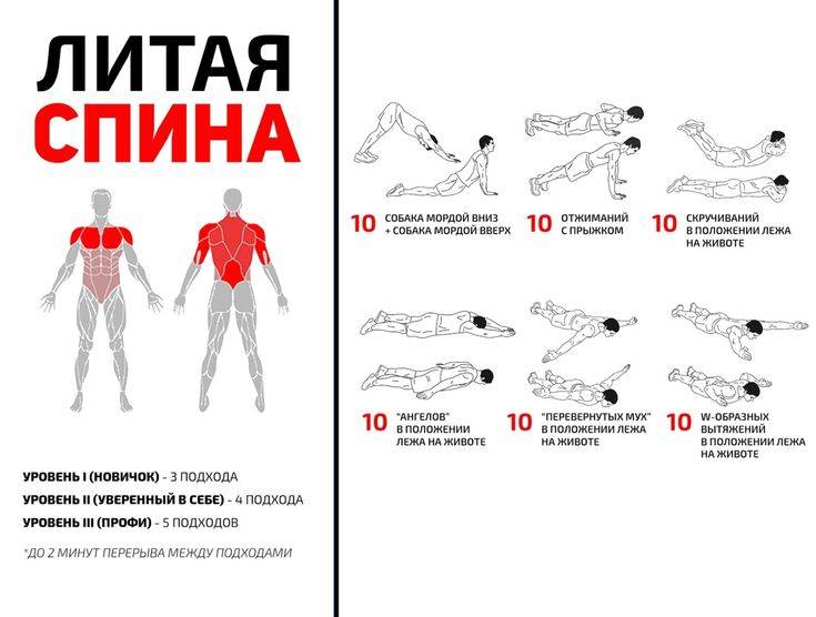 Топ 9 упражнений для тренировки силовой выносливости в домашних условиях