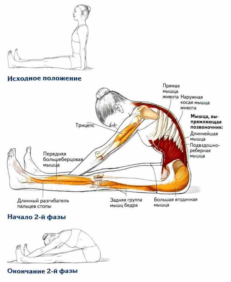 Подвздошно-поясничная мышца: упражнения на растяжку