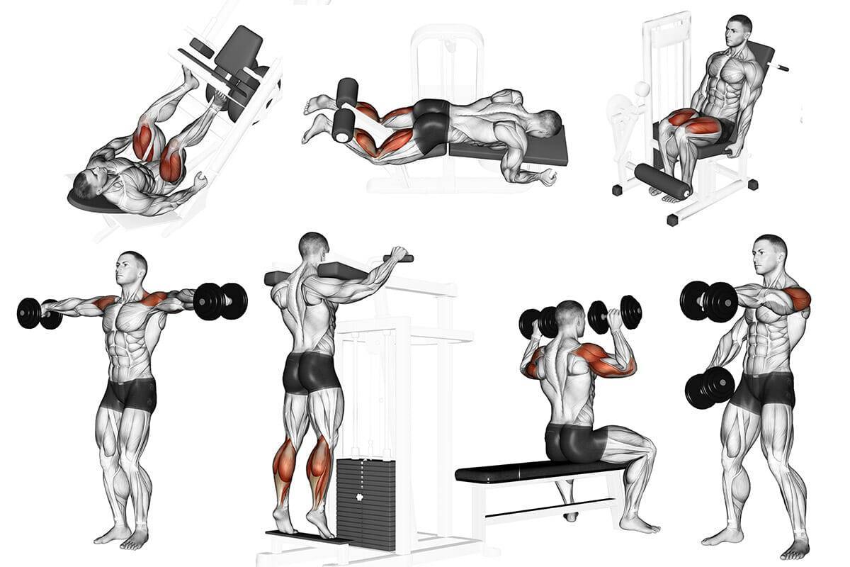 Как тренировать мышцы спины с помощью гантелей