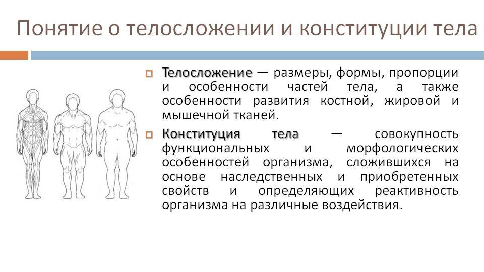 Особенности физического развития и телосложения у представителей различных видов спорта презентация