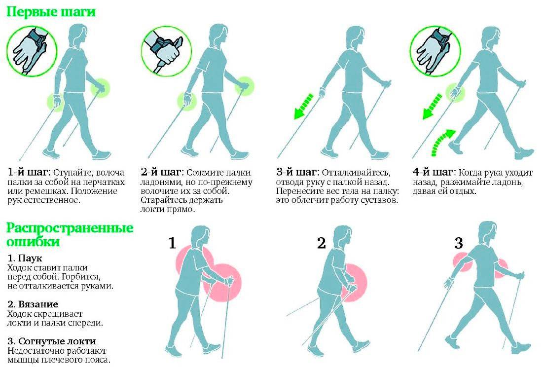 Скандинавская ходьба с палками: польза и вред для пожилых, видео