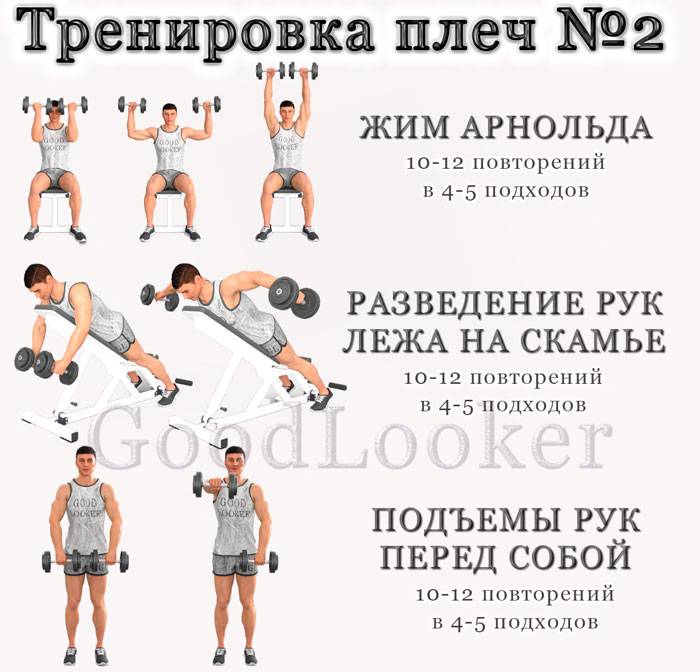 Силовая программа тренировок для мужчин: план на 3 занятия в неделю, базовые упражнения