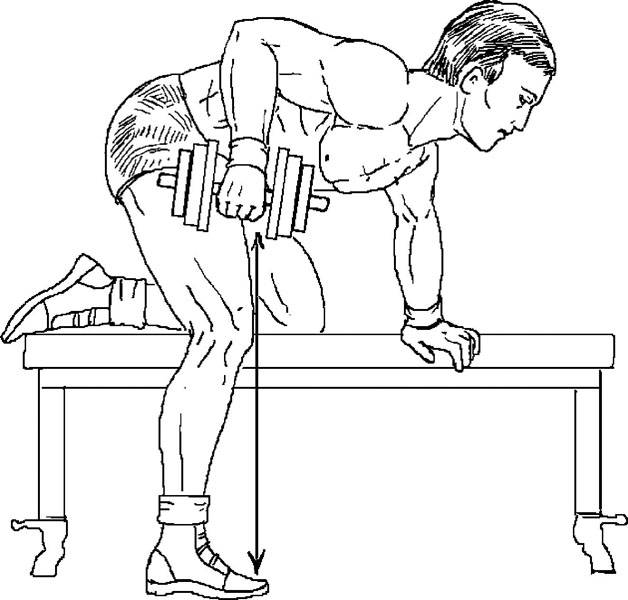Тяга гантелей в наклоне к поясу. техника выполнения. на какие мышцы упражнение